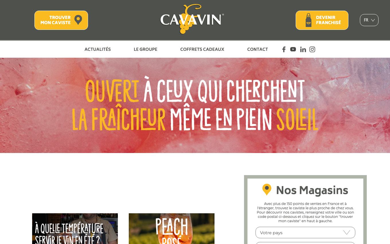 Page d'accueil du site officiel Cavavin
