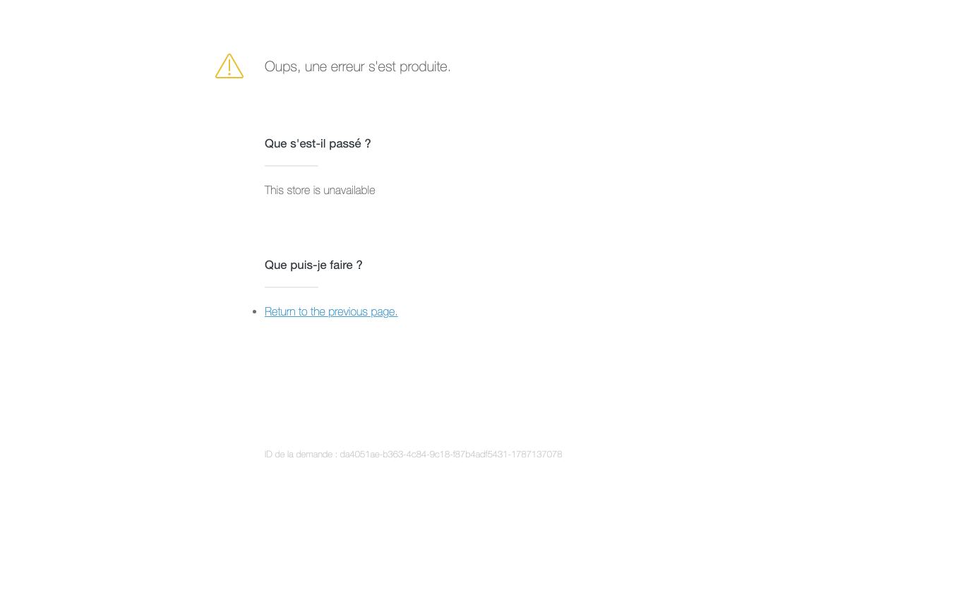 Page d'accueil du site officiel Minelli