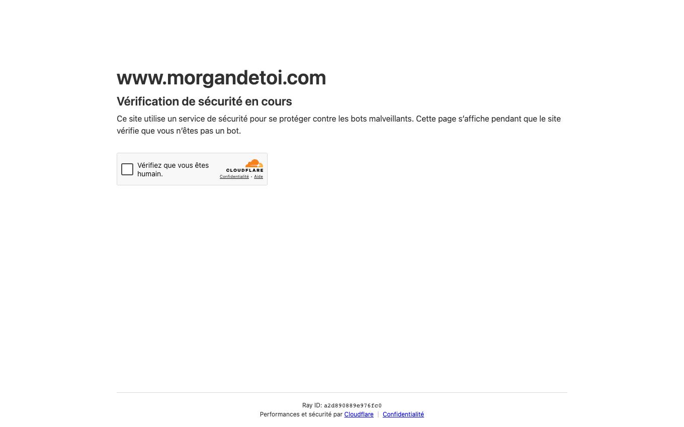 Page d'accueil du site officiel Morgan