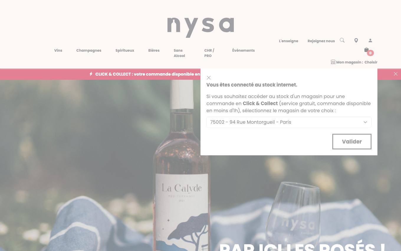 Page d'accueil du site officiel Nysa