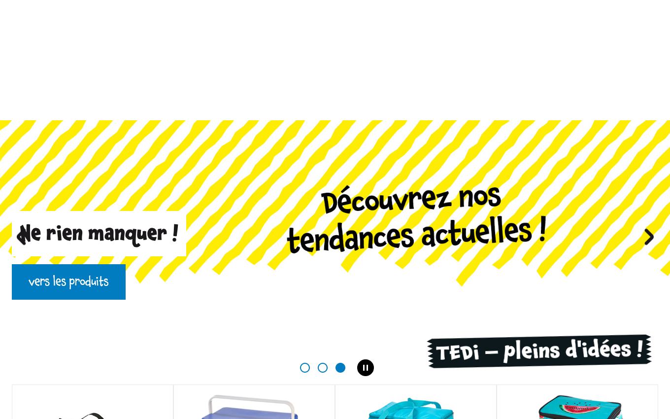 Page d'accueil du site officiel TEDi